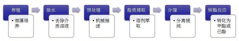 藻类生物柴油制备的工艺流程.jpg